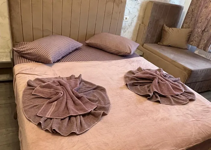 Ceronav House Pensiune 3*