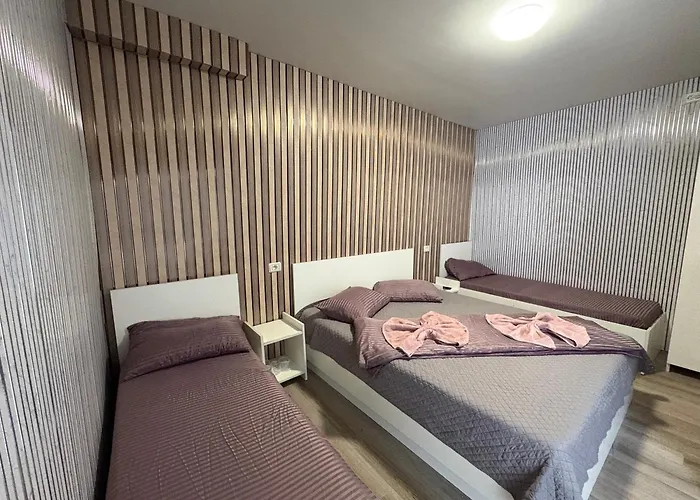 Ceronav House Pensiune 3*