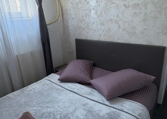 Pensiune Ceronav House 3*